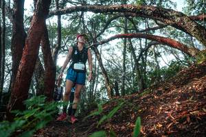 BIB: 
                            <button type="button" onclick="openModal(26344198)" class="btn btn-primary btn-sm float-right btn-popup" data-toggle="modal" data-target=".modal-high-quality">
                        <i class="fas fa-shopping-cart"></i> Add to Cart
                    </button>
                                            <button type="button" onclick="isThisMe(26344198, true)" class="btn btn-success btn-sm float-right btn-popup btn-isme hidden" data-toggle="tooltip" data-placement="bottom" title="นี่คือรูปของคุณใช่ไหม คลิกที่นี่เพื่อเอาเข้าอัลบั้ม">
                        <i class="fas fa-plus"></i> Add to album
                    </button>
                    <button type="button" onclick="isThisMe(26344198, false)" class="btn btn-warning btn-sm float-right btn-popup btn-isnotme hidden">
                        <i class="fas fa-ban"></i> Remove from album
                    </button>